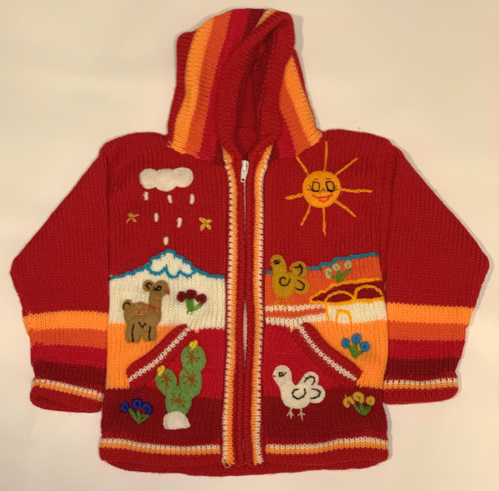 Handmade Ecuadorian Infant/Kid Colorful, Wool-Blend Zip Hooded Sweater ...